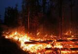 Лесовалочный комплекс сгорел в Кирилловском районе, ущерб оценен в 6 миллионов рублей