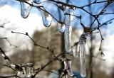 В Вологодской области обещают умеренно холодный февраль и раннюю весну