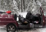 19 человек погибло в ДТП на дорогах Вологодской области 