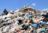 На Вологодчине скоро стартует «мусорная реформа»