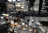 Домашняя птица погибла на пожаре в Вологде 