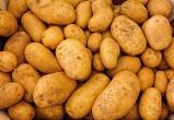 Вологжане могут выращивать картофель из своих семян, не опасаясь наказания