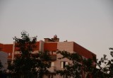 Прерванное свидание: череповецкие подростки наблюдали красивый закат на крыше 10-этажки
