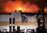 Причиной трагедии в ТРЦ «Зимняя вишня» в Кемерово стал поджог
