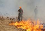 В Вологде объявлена дата начала пожароопасного сезона 
