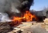 В Соколе подожгли пилораму - сгорело 700 кубов пиломатериалов 