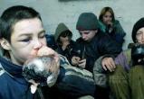 В Вологодской области оштрафуют родителей несовершеннолетних токсикоманов 
