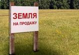Вологодский район выставит на открытую продажу земельные участки
