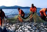 Промысловый лов рыбы запретят на Рыбинском водохранилище с 15 апреля
