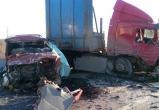 Следствие считает виновником аварии с семью погибшими водителя грузовика
