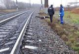 Вологжанин попал под поезд в Шекснинском районе 
