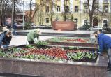 Ко Дню Победы в Вологде засадят цветами 230 кв. м площадей