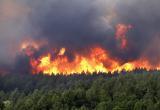 В Вологодской области тушили первый лесной пожар