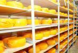 Пускать в производство или нет? Судьбу 10-го вида сыра решают на Вологодском молкомбинате