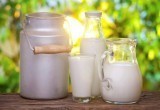 Вологодская область занимает 12 место в России по производству молока