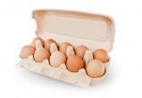 Министерство сельского хозяйства похвалило Вологодскую область за яйца