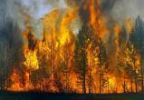 Экстренное предупреждение МЧС: в ряде районов возможно возникновение пожаров