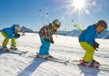 Чтобы не нарушать Конституцию, школы Никольского района должны будут купить своим ученикам лыжи