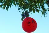 Клоун с шариками сфотографирован в одной из деревень Грязовецкого района (ФОТО)