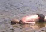Снова вологжанин утонул по пьяни: ЧП на Сиверском озере 