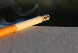 Непотушенная сигарета стала причиной пожара в Череповце