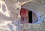 Негодяй проломил грудному ребенку череп и малышка умерла в мучениях: Страшные подробности гибели ребенка в Вологде