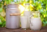 Борьба с башкирами и нижегородцами. Вологодская область сохраняет 12 место по производству молока в России