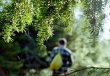 18 дней выживания: житель Мурманска навсегда запомнит поход в вологодский лес