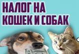 Россиян начали готовить к налогу на домашних животных: Первый этап - регистрация и учёт, второй этап - чипирование 