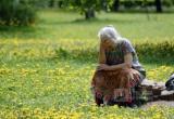Очередная пропавшая пенсионерка в Вологодской области: ушла за грибами, а ищут уже третий день 