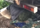 Бывший милиционер стал бомжем и спит под грузовиком в центре Вологды (ВИДЕО) 