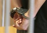 Подросток и трое взрослых, обокравшие «Резной палисад», арестованы в Вологде
