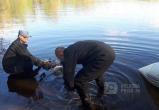 Страшная находка в Белозерске: труп мужчины плавал в канале