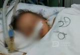 2-летняя вологжанка скоропостижно умерла в больнице 