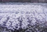 На Вологодчине выпал первый снег (ФОТО) 