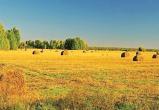 Необработанные сельхоз земли изымать у пайщиков намерены в Вологодском правительстве