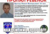 Пропавший в Вологодской области 10-летний школьник найден живым и здоровым 