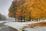 Прогноз погоды на весь ноябрь опубликовал Гидрометцентр