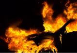 Сегодня ночью в Вологде вспыхнул автомобиль: поджигатели не найдены