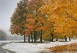 Жестокий ноябрь - зимы не будет: Прогноз погоды на середину ноября опубликовал Гидрометцентр