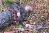 Трагедия "пьяной охоты": В Вологодской области охотник убил друга вместо лося 