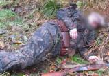 "Зайцеубийца" попал под обстрел "лосеубийцы": Вологодские охотники на разную дичь перестреляли друг друга 