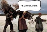 Россиянам помогут разобраться, что они могут бесплатно собирать в лесу: Валежник, ветровал или сухостой
