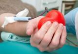 Дефицит донорской крови нескольких групп наблюдается в Вологде