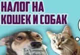 Россиян начали готовить к налогу на домашних животных: домашние любимцы пробьют брешь в семейном бюджете 