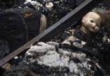В Вологодской области на пожаре сгорел 11-летний ребенок и его отец 