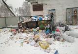 Череповчане решили складировать не вывезенный вовремя мусор к офисам местных администраций (ФОТО) 