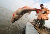 Бывший инспектор рыбоохраны предстанет перед вологодским судом за браконьерство
