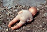Слухи о растерзанном младенце на вологодской свалке наполнили соцсети (ФОТО) 