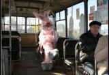 В автобусах Вологды с 5 февраля объявят «охоту на зайцев»